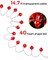 14.5ft 40 LED Valentines Day Decorations String Lights, Heart Shape Hanging Garland Valentines Day Decor for Indoor Outdoor Home Room Party Wedding